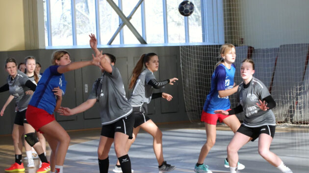 c-jugend-weiblich-coswig-0222 C-Jugend weiblich beim Gastspiel in Coswig Saison 2021/22