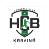 Logo von HCB Banik Karvina