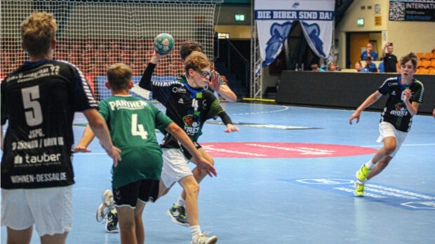 JSpG Kühnau/DRHV06 in der Saison 2023/2024 gegen den USV Halle