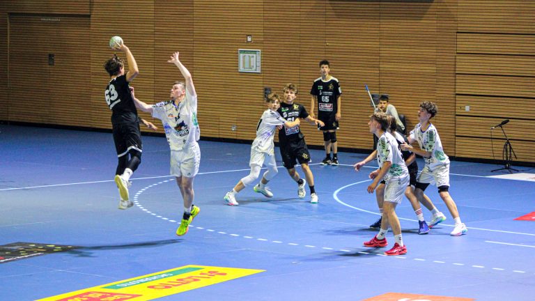 B-Jugend-Bundesliga Saison 2025/26